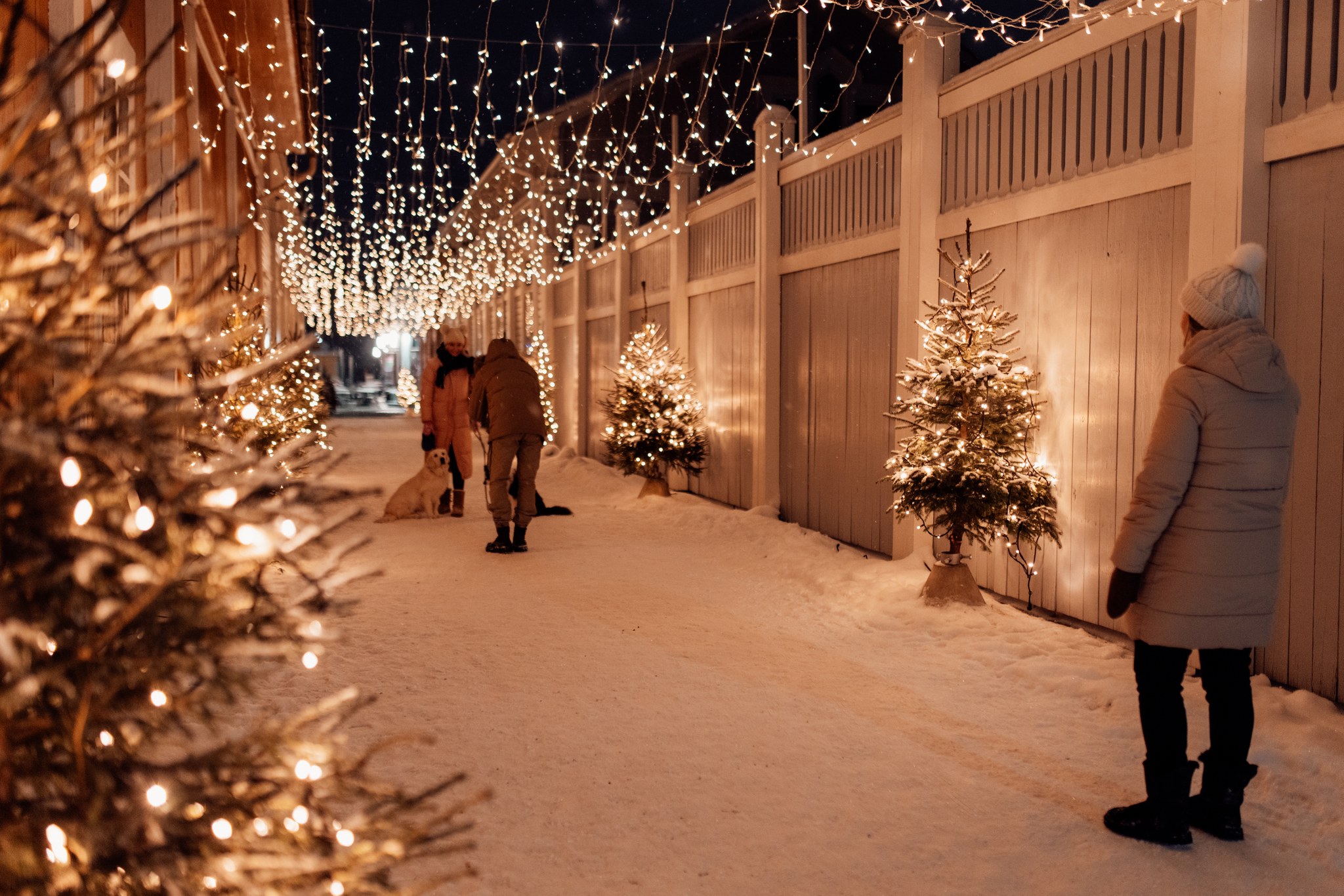 Kuusikuja illalla, ihmisiä kävelemässä ja jouluvalot päällä.