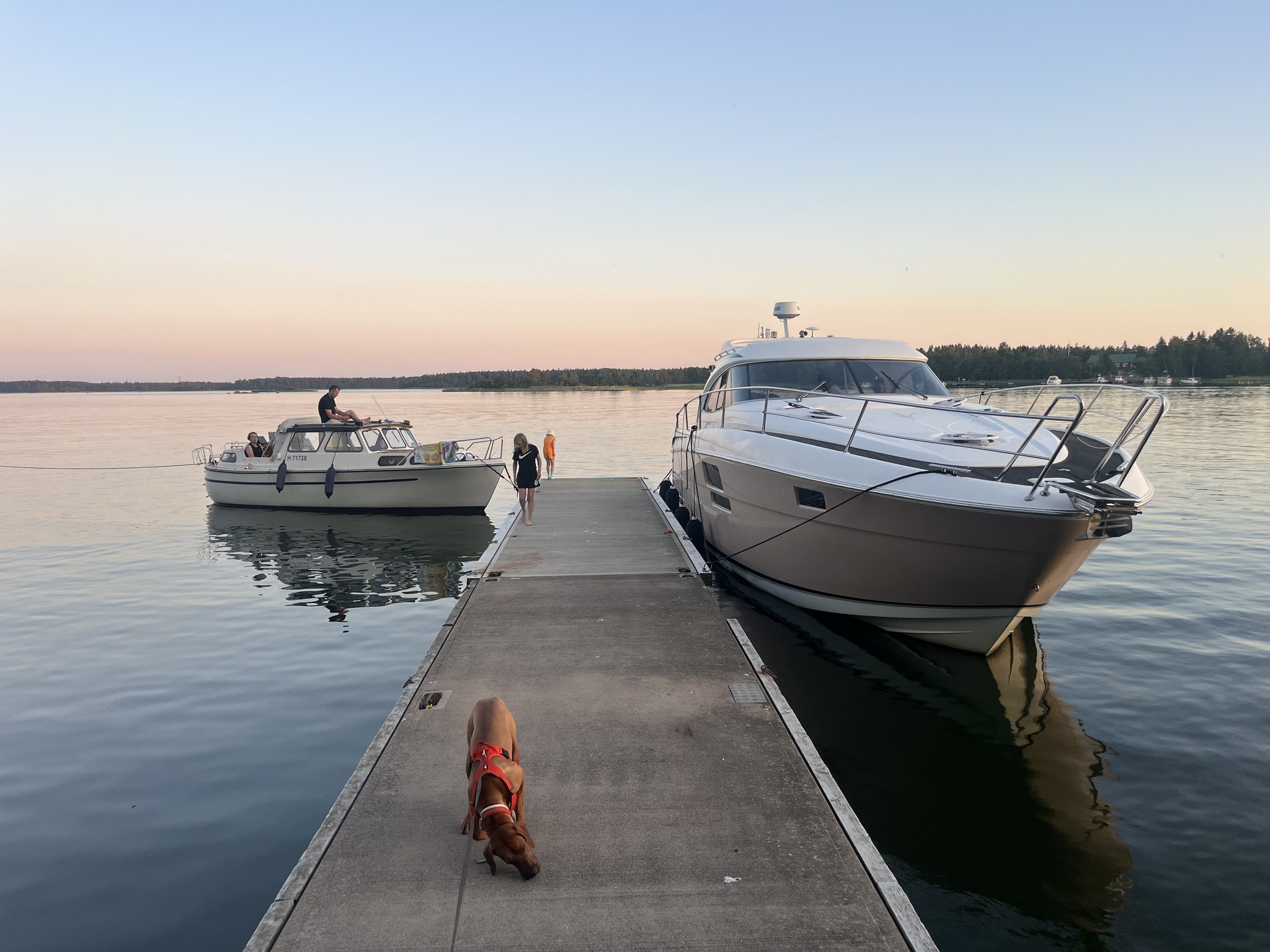 Kaksi venettä laiturissa.