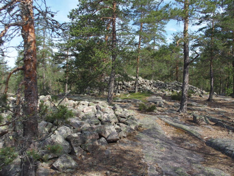 Sammallahdenmäen hautaröykkiöitä ja metsämaisemaa.