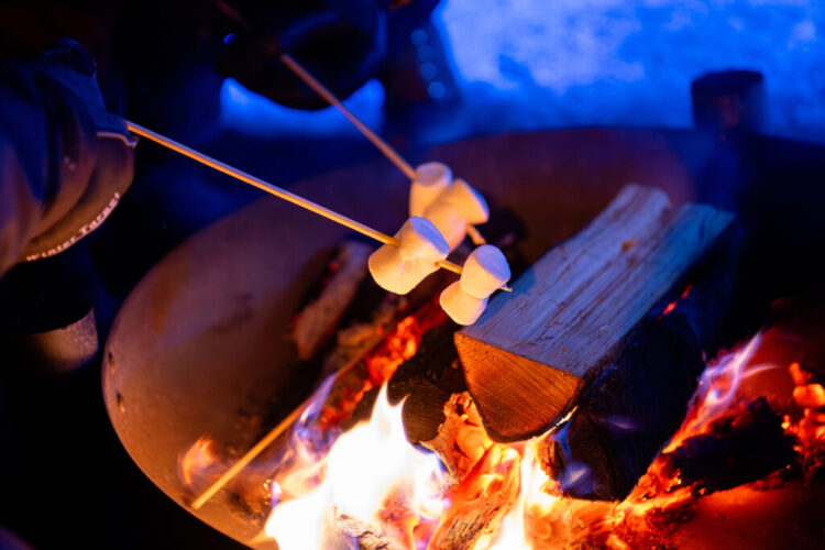 Firepit where people are grilling marshmallows.