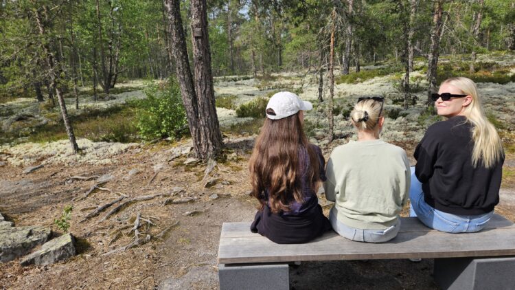 People sitting on a bench and looking at the forest.